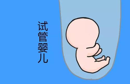 PGT胚胎实验室